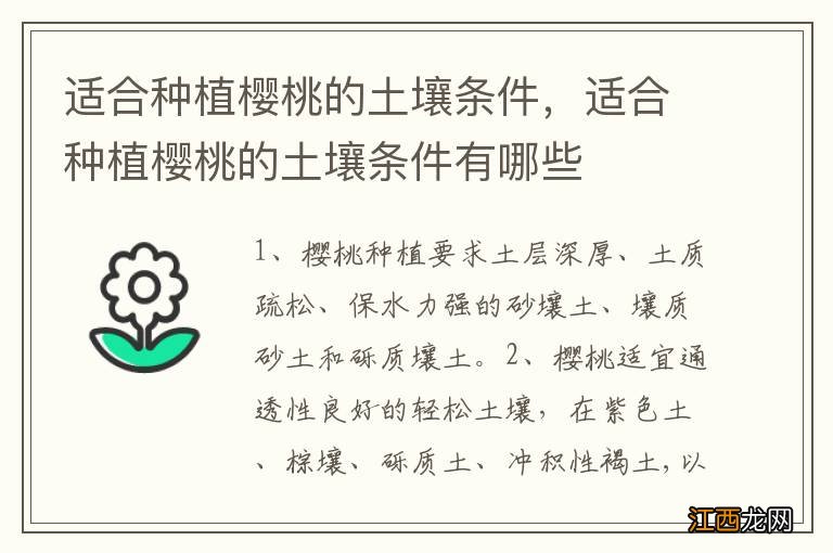 适合种植樱桃的土壤条件，适合种植樱桃的土壤条件有哪些