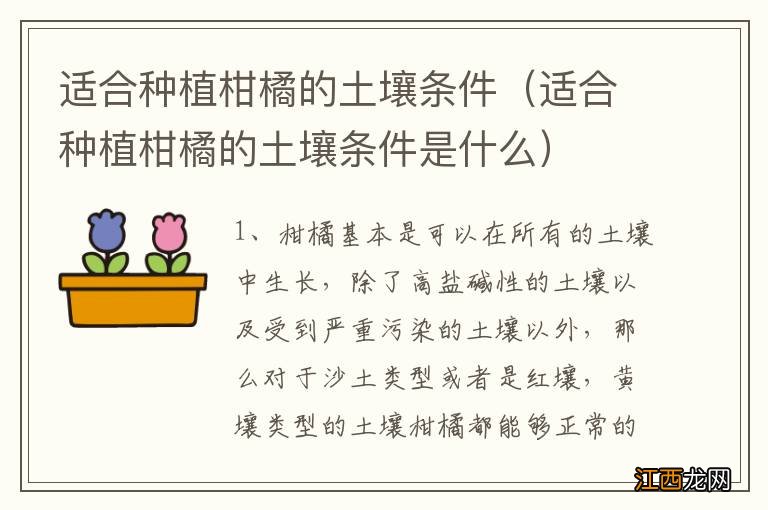 适合种植柑橘的土壤条件是什么 适合种植柑橘的土壤条件