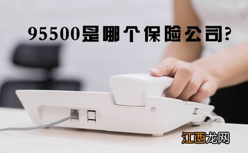 打95500怎么退保？