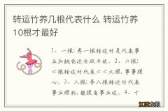 转运竹养几根代表什么 转运竹养10根才最好