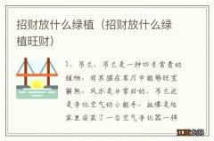 招财放什么绿植旺财 招财放什么绿植