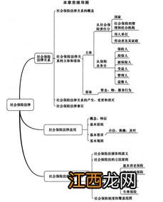 保险法律关系是保险经济关系的什么 保险法律关系是保险经济关系的表现形式