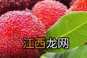 醋泡姜保质期 醋泡姜泡一年还能吃吗