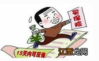 保单犹豫期15天什么时候开始执行的？