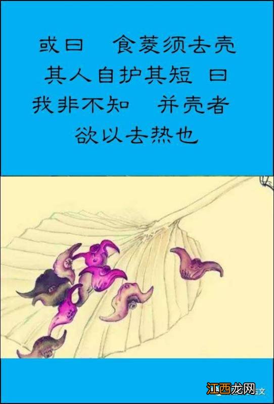 北人食菱北人是怎样的人 北人是怎样的人