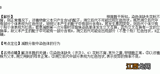 什么叫b基因会使花粉不育 你真的懂了吗？