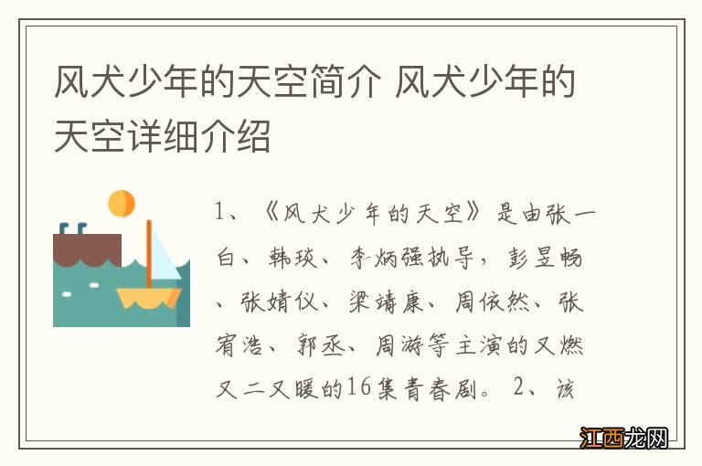 风犬少年的天空简介 风犬少年的天空详细介绍