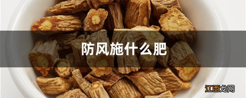 防风施什么肥