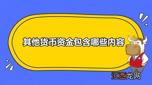 其他货币资金包括哪些内容 其他货币资金包含哪些