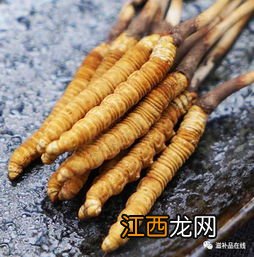 鲜虫草怎么去泥-新鲜虫草带泥保存好吗