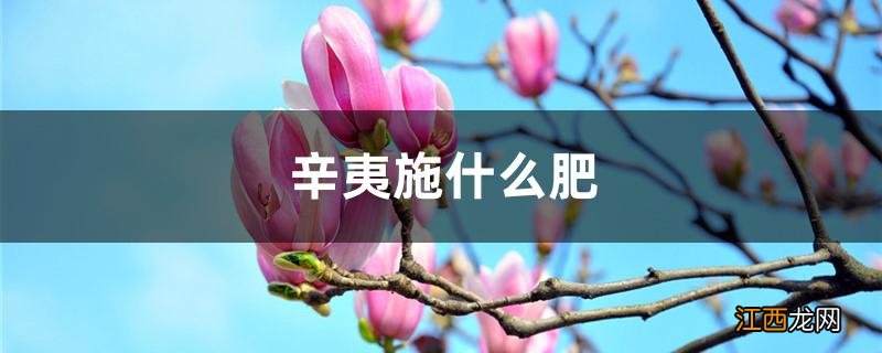 辛夷施什么肥