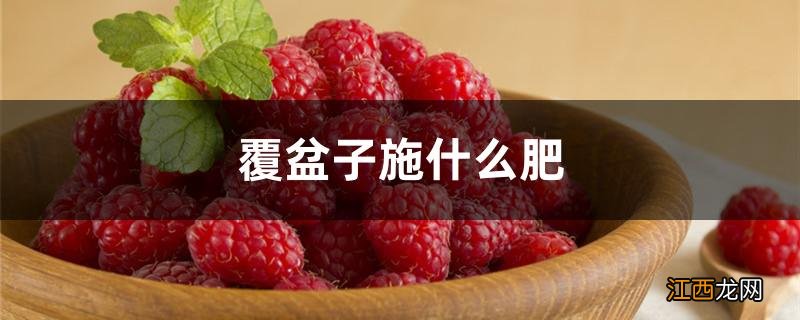 覆盆子施什么肥