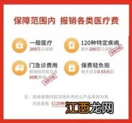 平安e生保2020的质子重离子怎么报？