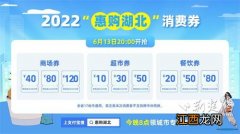 2022年还会有湖北消费券吗-湖北消费券2022年还会发放吗