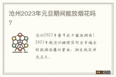 沧州2023年元旦期间能放烟花吗?