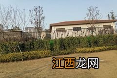 庙山雅居乐花园升值空间大吗-江夏庙山雅居乐花园怎么样