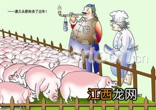 过年杀猪一般什么日子2022-杀猪过年什么日子好