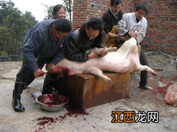 过年杀猪一般什么日子2022-杀猪过年什么日子好