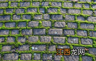 2021年冬至前后哪天迁坟好-今年冬至什么时候迁坟最好