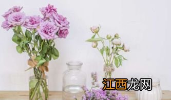 插花的水可以用自来水吗-插花的水多久换一次