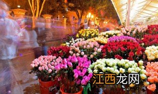 春兰夏天发新芽后怎么养护花 春兰夏天发新芽后怎么养护