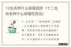 十二生肖各种什么绿植旺财运 12生肖养什么绿植招财