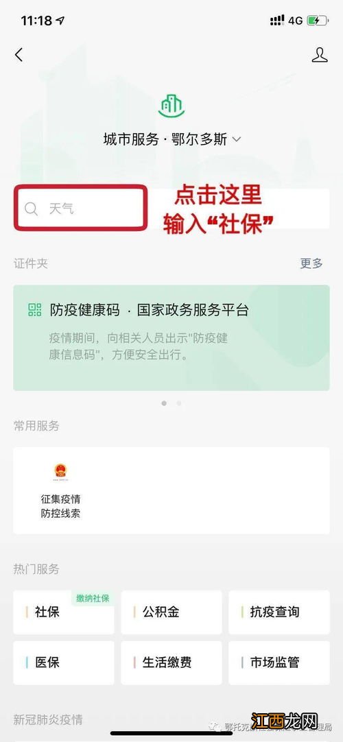 养老保险可以在手机上缴费吗？