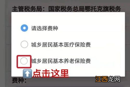 养老保险可以在手机上缴费吗？