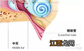 少儿超能宝3.0包括中耳炎吗？