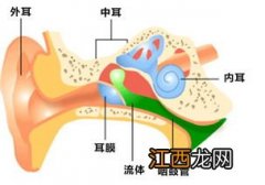 少儿超能宝3.0包括中耳炎吗？