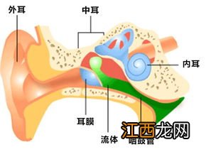 少儿超能宝3.0包括中耳炎吗？