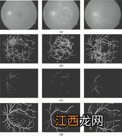 多重分形如何理解 具体怎么理解