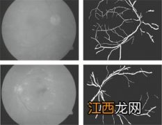 多重分形如何理解 具体怎么理解