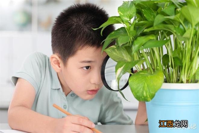 太难了！幼儿园不教知识，小学要有基础，一年级孩子该何去何从？