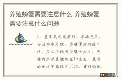 养殖螃蟹需要注意什么 养殖螃蟹需要注意什么问题