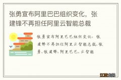 张勇宣布阿里巴巴组织变化，张建锋不再担任阿里云智能总裁