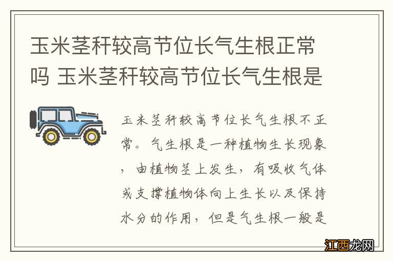 玉米茎秆较高节位长气生根正常吗 玉米茎秆较高节位长气生根是否正常