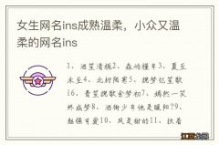 女生网名ins成熟温柔，小众又温柔的网名ins