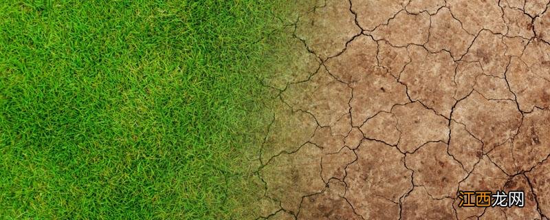 土地资源是可再生资源吗