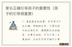 孩子的引导很重要 家长正确引导孩子的重要性