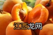 鲫鱼豆腐汤炖多长时间 怎么炖鲫鱼豆腐汤