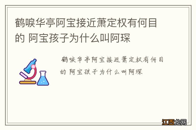 鹤唳华亭阿宝接近萧定权有何目的 阿宝孩子为什么叫阿琛
