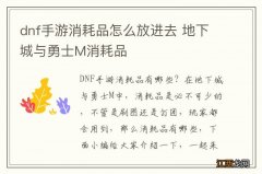 dnf手游消耗品怎么放进去 地下城与勇士M消耗品