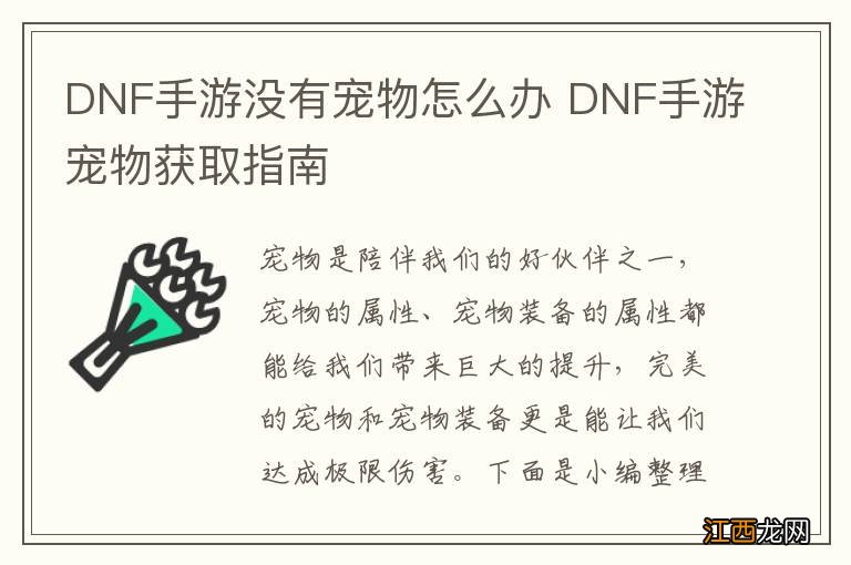 DNF手游没有宠物怎么办 DNF手游宠物获取指南