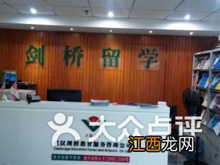 王博士龙珠茶怎么样