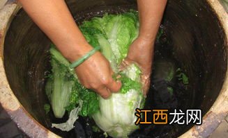 渣菜是什么意思啊