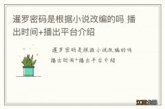 暹罗密码是根据小说改编的吗 播出时间+播出平台介绍