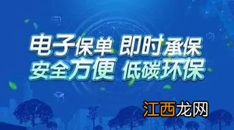 电子保单没有标志贴会被罚吗？