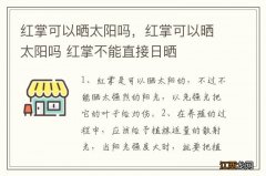 红掌可以晒太阳吗，红掌可以晒太阳吗 红掌不能直接日晒