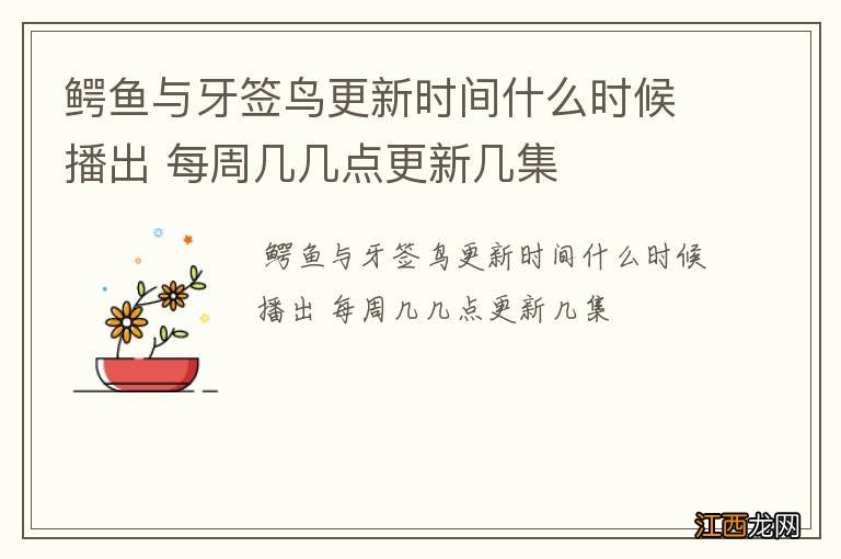 鳄鱼与牙签鸟更新时间什么时候播出 每周几几点更新几集